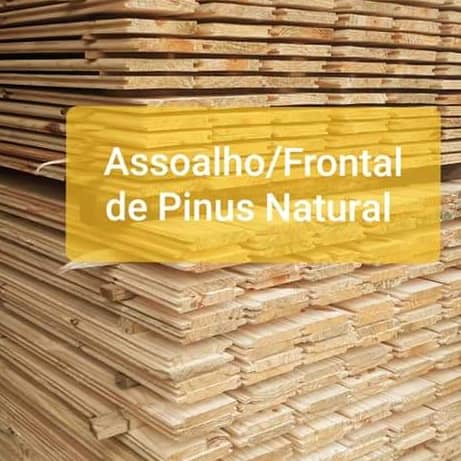 Assoalho e Frontal de Pinus Natural